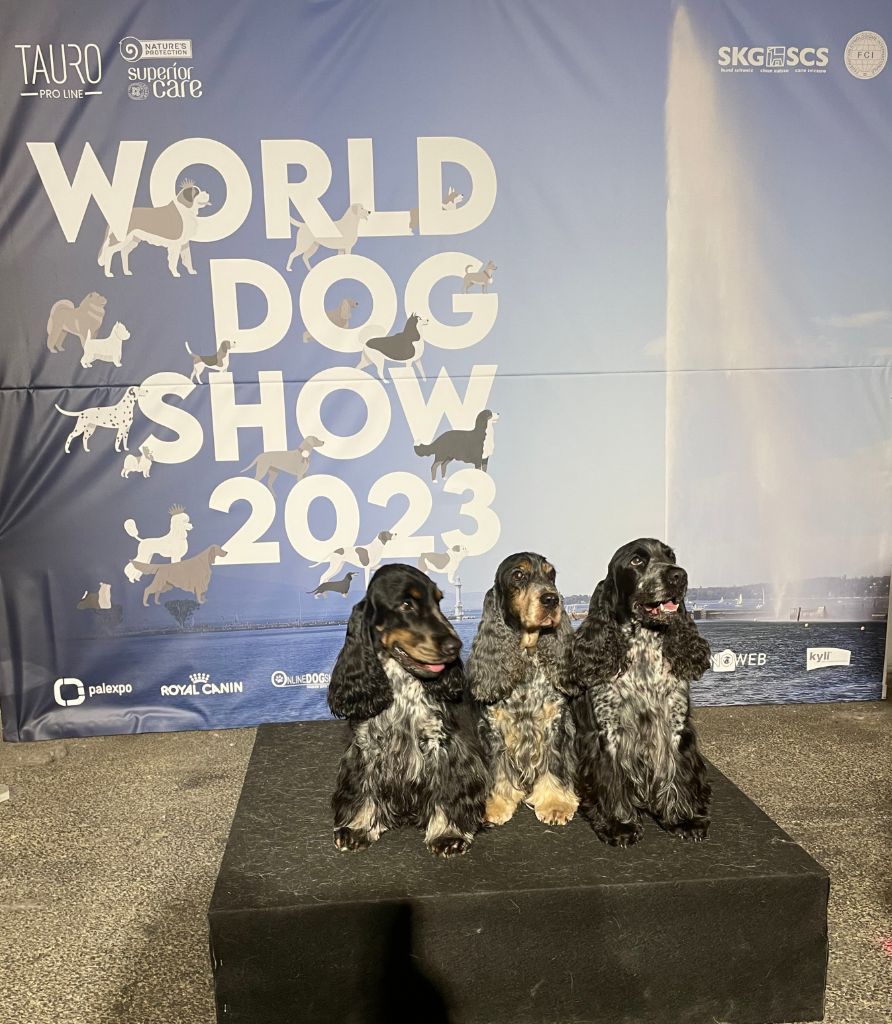 De La Lembaz - World Dog Show et Grand prix de Genève 