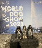  - World Dog Show et Grand prix de Genève 